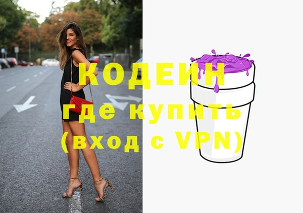 дмт Кодинск